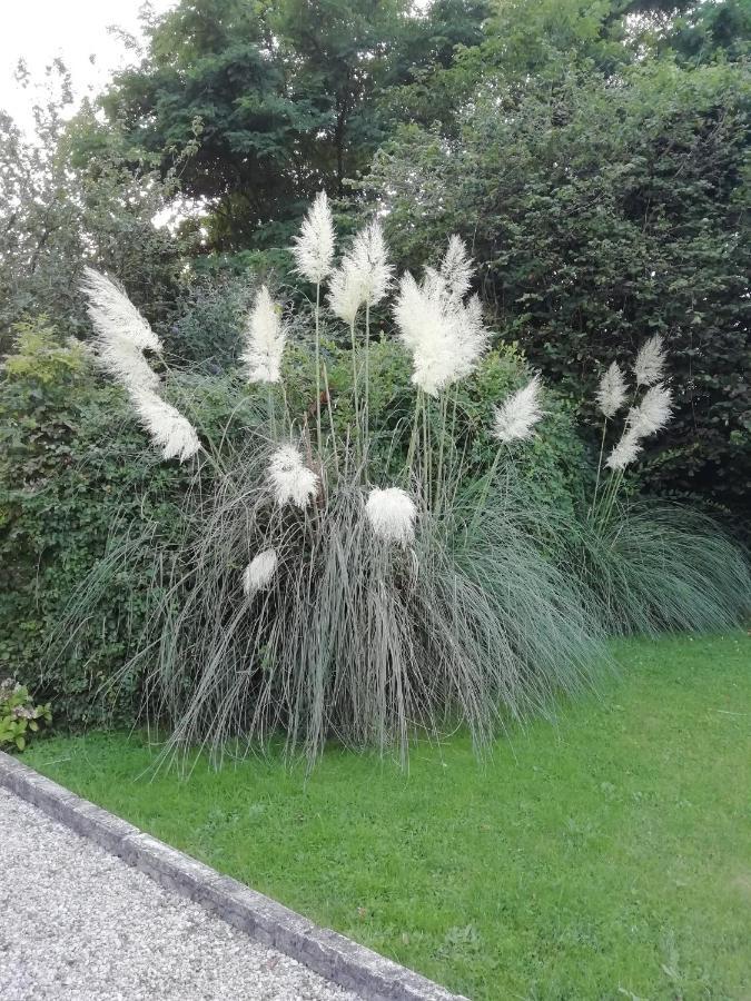 Victoria Arromanches B&B Tracy-sur-Mer ภายนอก รูปภาพ