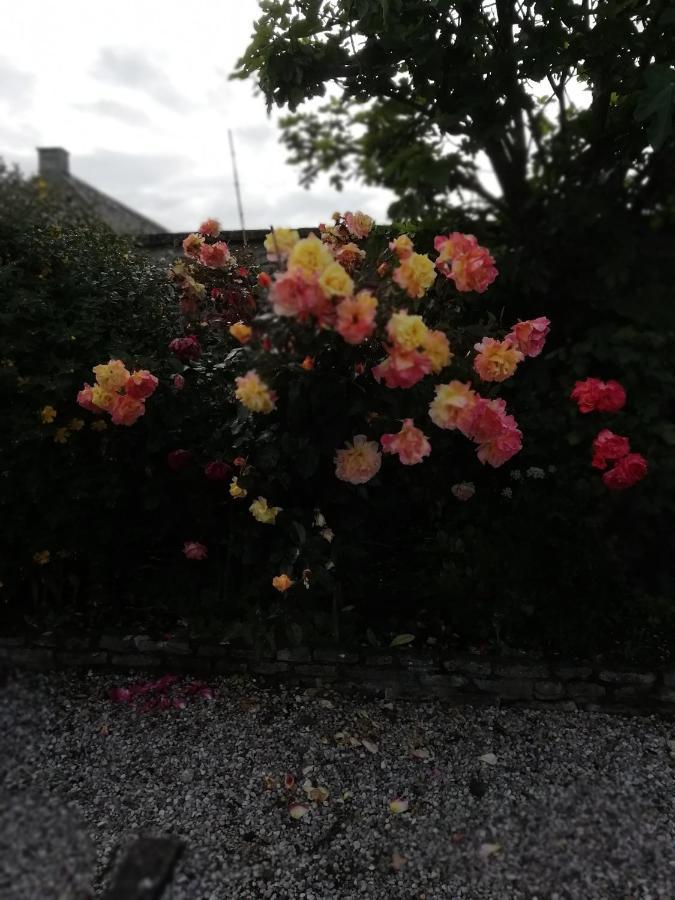 Victoria Arromanches B&B Tracy-sur-Mer ภายนอก รูปภาพ