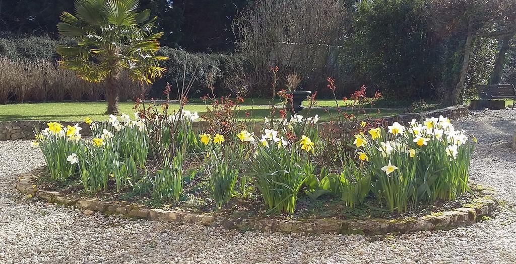 Victoria Arromanches B&B Tracy-sur-Mer ภายนอก รูปภาพ